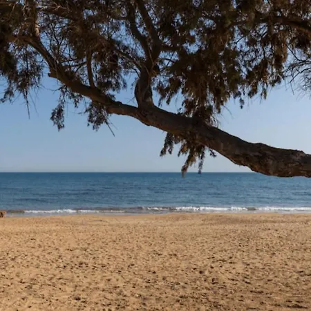 Small Torrevieja