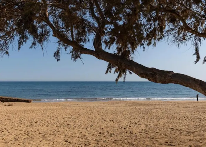 Small تورّيفيِخا